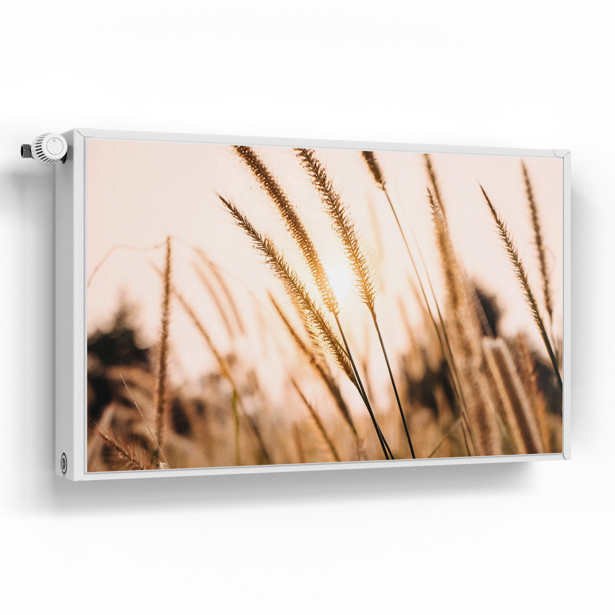 DEQORI Magnetfolie 'Goldenes Abendgras', beschreibbar Heizung Magnetmatte magnetisch Magnetfolie