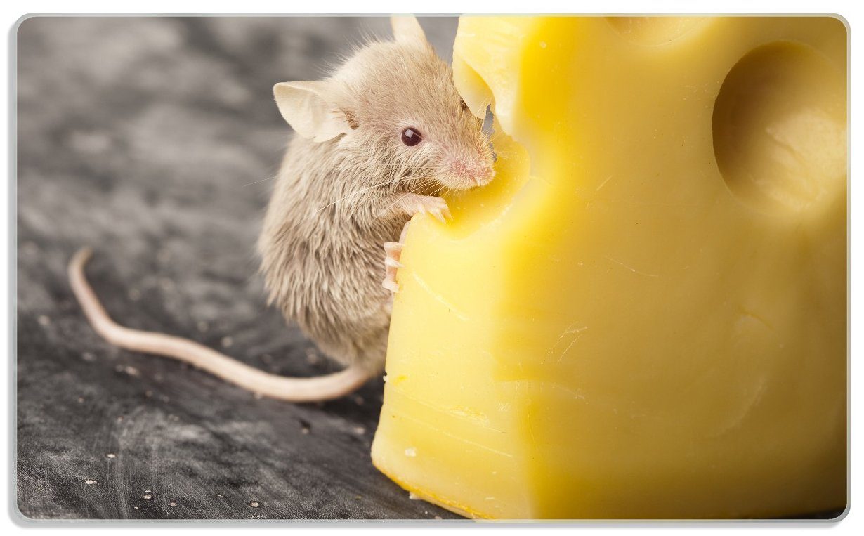 Wallario Frühstücksbrett Süße Maus knabbert an einem Käse in der Küche, ESG-Sicherheitsglas, (inkl. rutschfester Gummifüße 4mm, 1-St), 14x23cm
