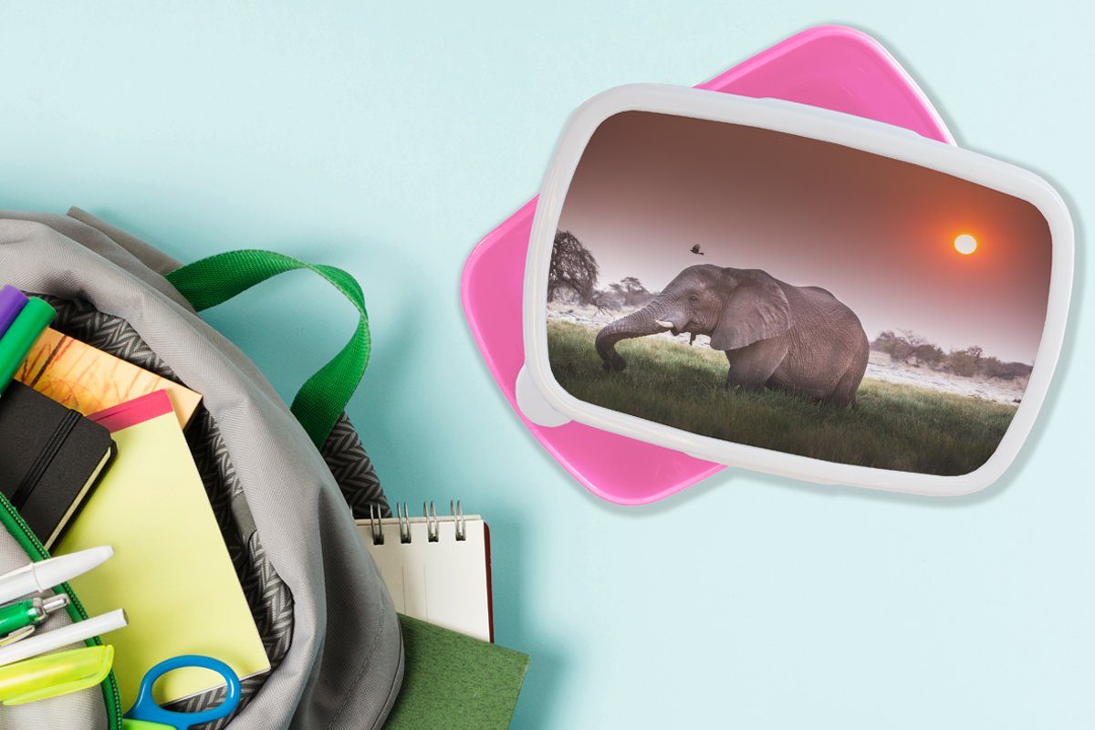 MuchoWow Lunchbox Tiere, für - Erwachsene, Snackbox, (2-tlg), Brotbox Mädchen, - Brotdose - Sonne Kunststoff Elefant rosa Gras Kinder, Kunststoff