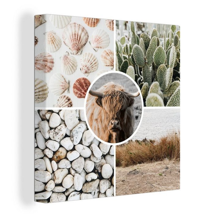 OneMillionCanvasses® Leinwandbild Schottischer Highlander - Collage - Steine - Sand (1 St) Leinwand Bilder für Wohnzimmer Schlafzimmer