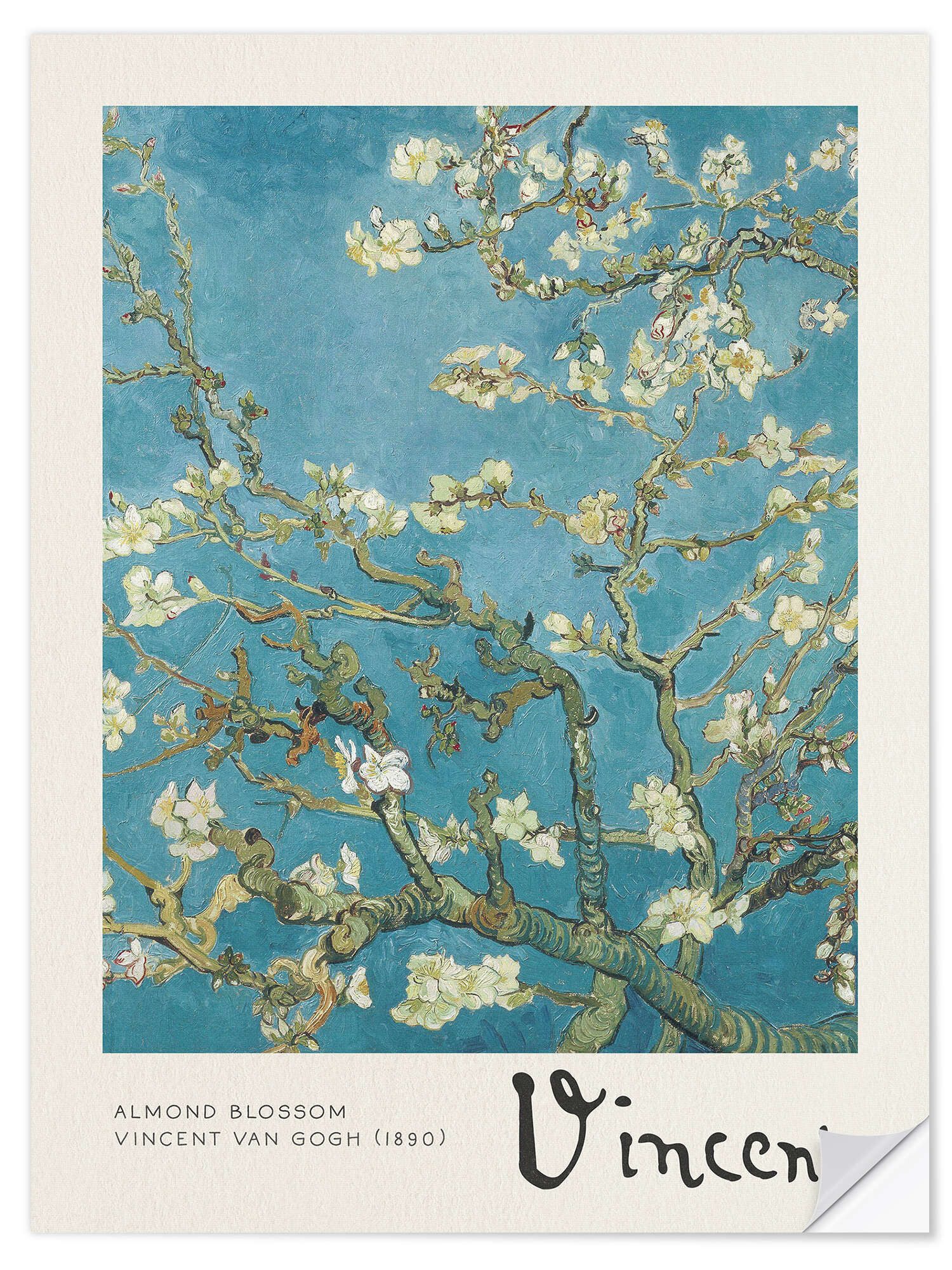 Wandfolie Vincent van Gogh