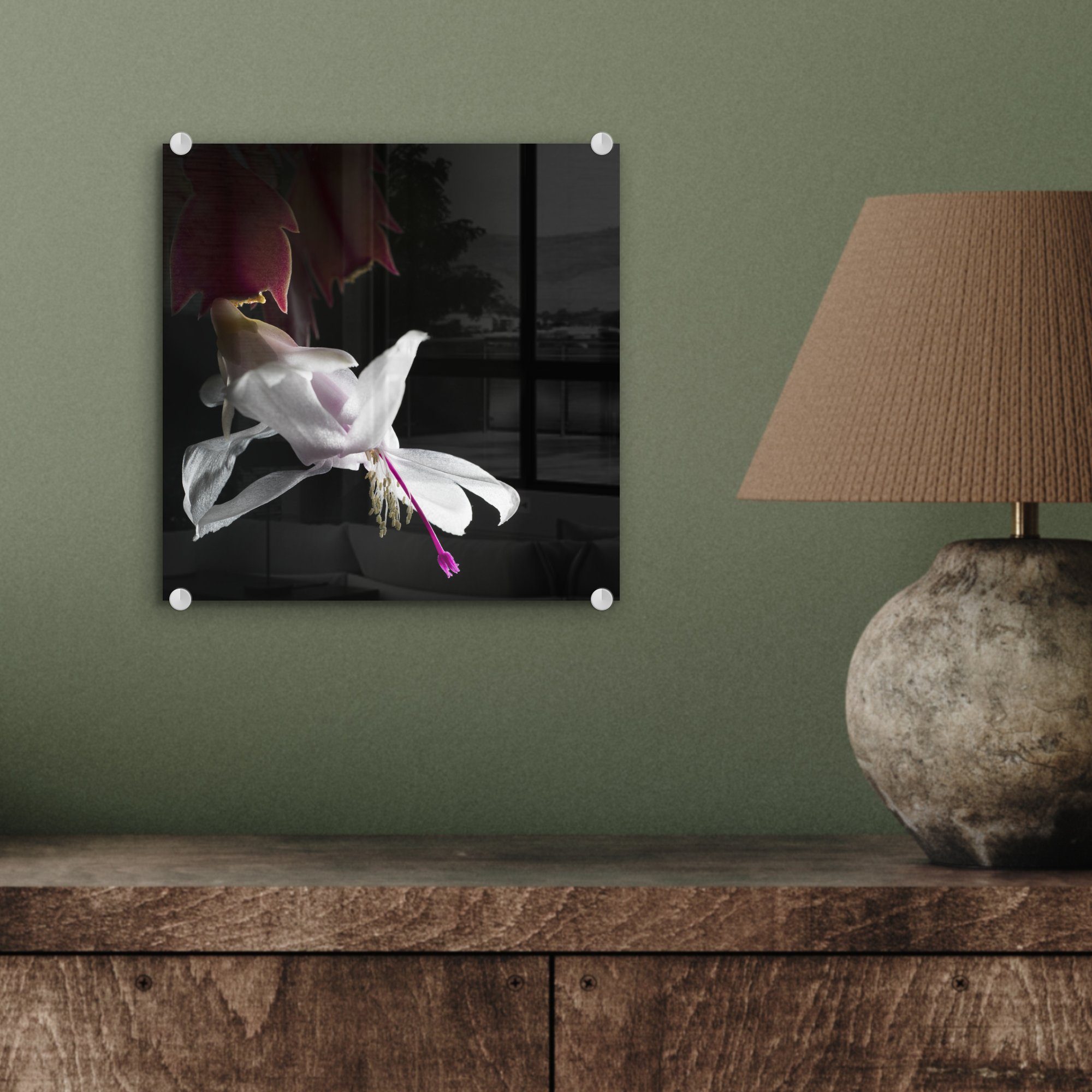 auf Glas Glas - Wanddekoration Weißer - Wandbild Lido-Kaktus Bilder - auf Foto Acrylglasbild MuchoWow (1 St), Glasbilder Blume,