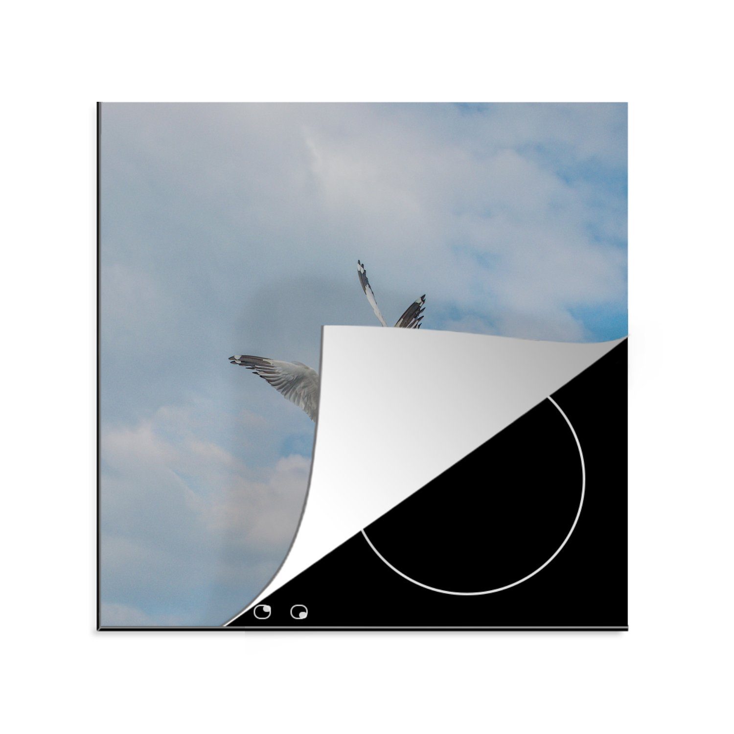 MuchoWow Herdblende-/Abdeckplatte Möwen - Brot - Luft, Vinyl, (1 tlg), 78x78 cm, Ceranfeldabdeckung, Arbeitsplatte für küche | Herdabdeckplatten