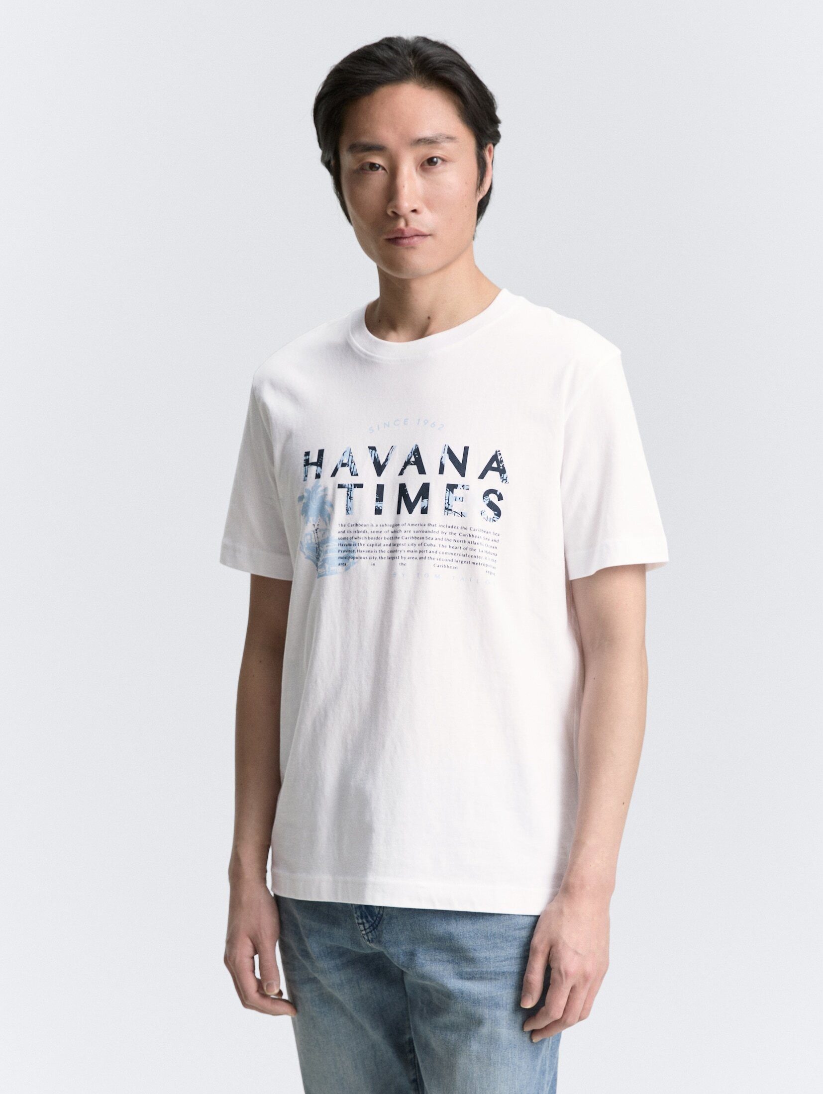 TOM TAILOR T-Shirt T-Shirt mit Print günstig online kaufen