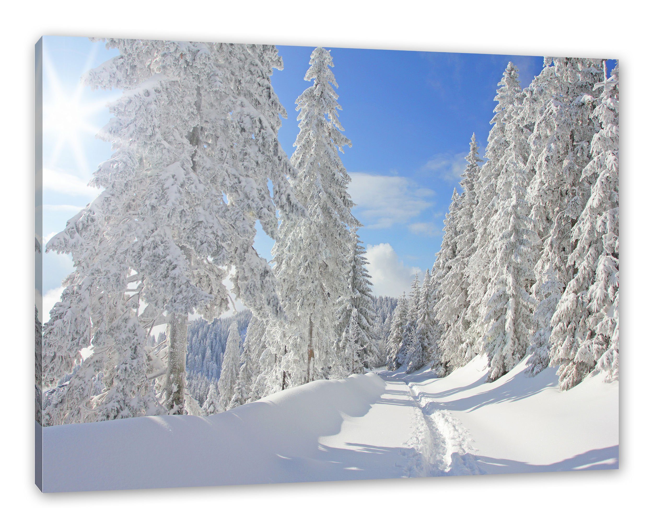 Pixxprint Leinwandbild Winterlandschaft Bäume, Winterlandschaft Bäume günstig online kaufen