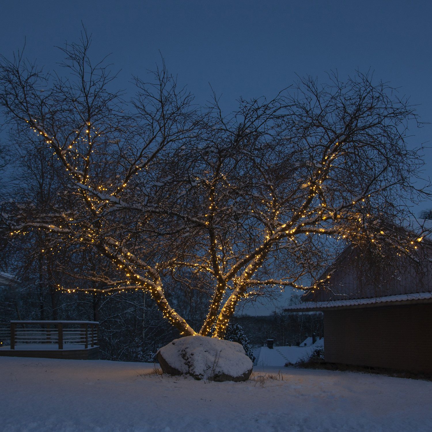 STAR TRADING Systemlichterkette System 24 Start-Trafo für Lichterketten Vor günstig online kaufen