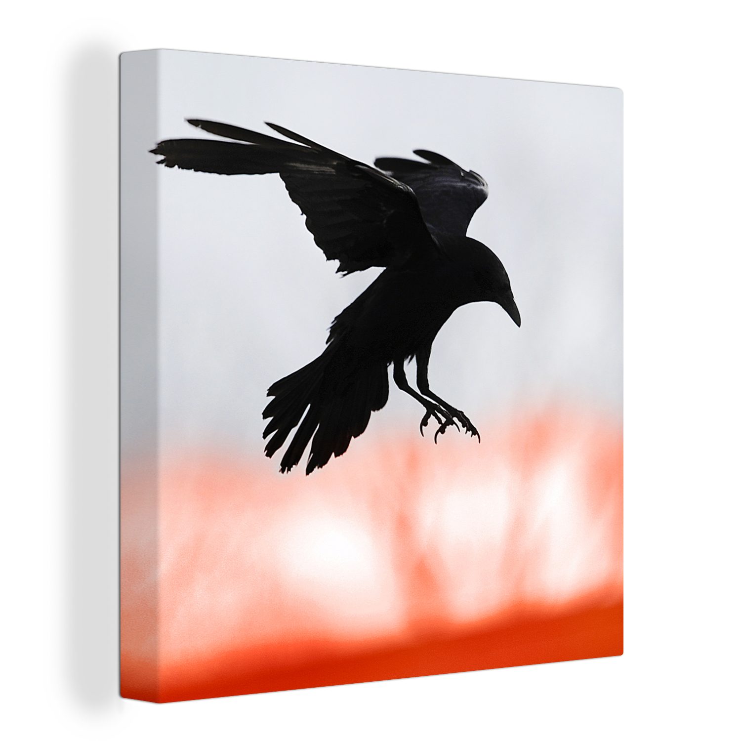 OneMillionCanvasses® Leinwandbild Vogel - Krähe - Rot, (1 St), Leinwand Bilder für Wohnzimmer Schlafzimmer