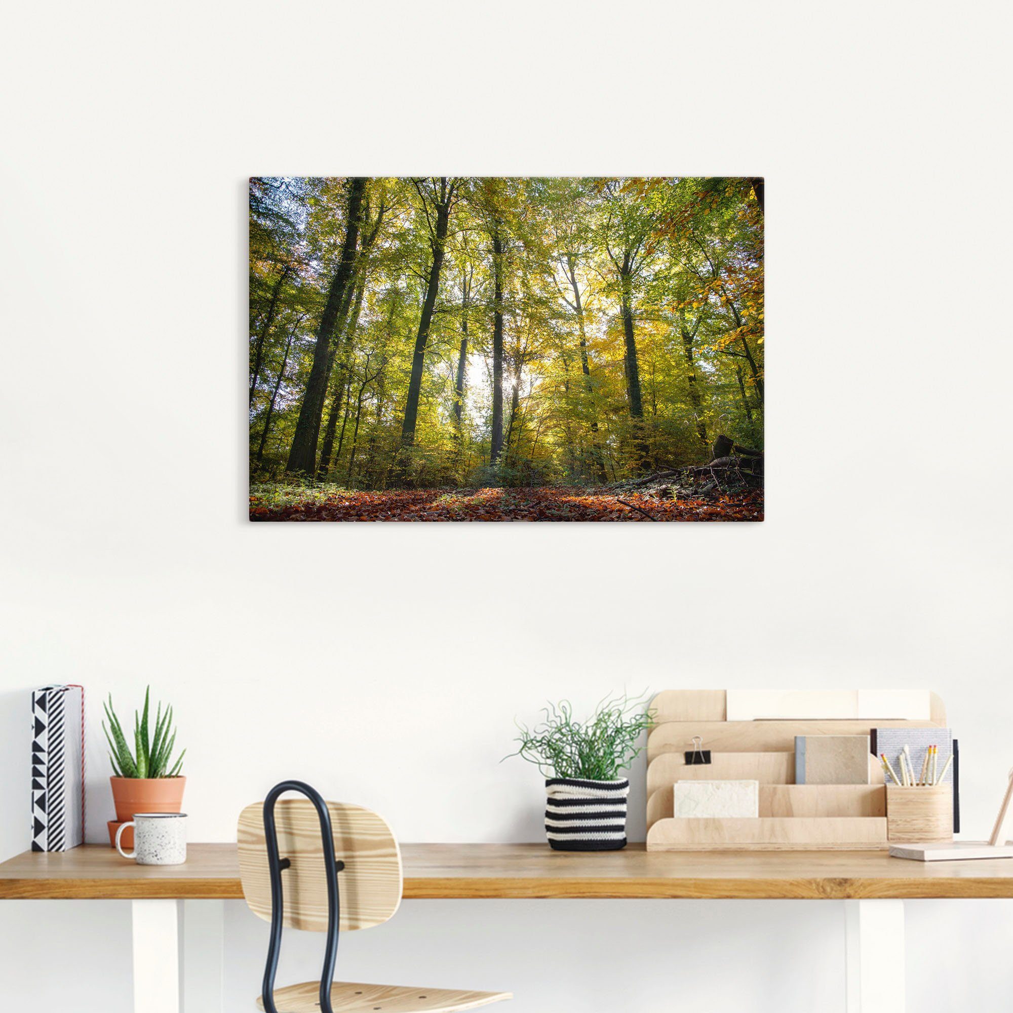 als in versch. Wandaufkleber Waldbilder Herbst, Leinwandbild, Alubild, oder (1 Poster zum Artland St), Laubwald Wandbild Größen