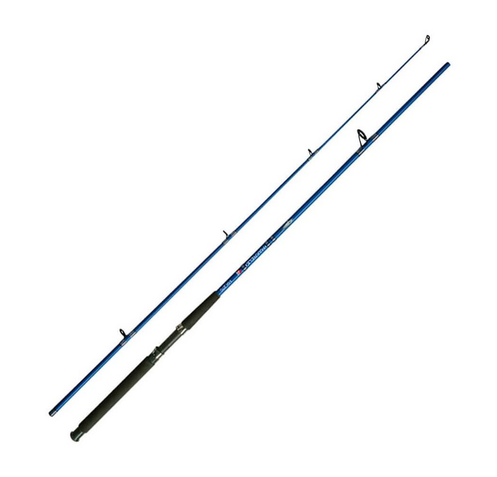 Jenzi Brandungsrute Jenzi Meeresrute Makrele MK 270 2,70m 80-200g, (2-tlg)