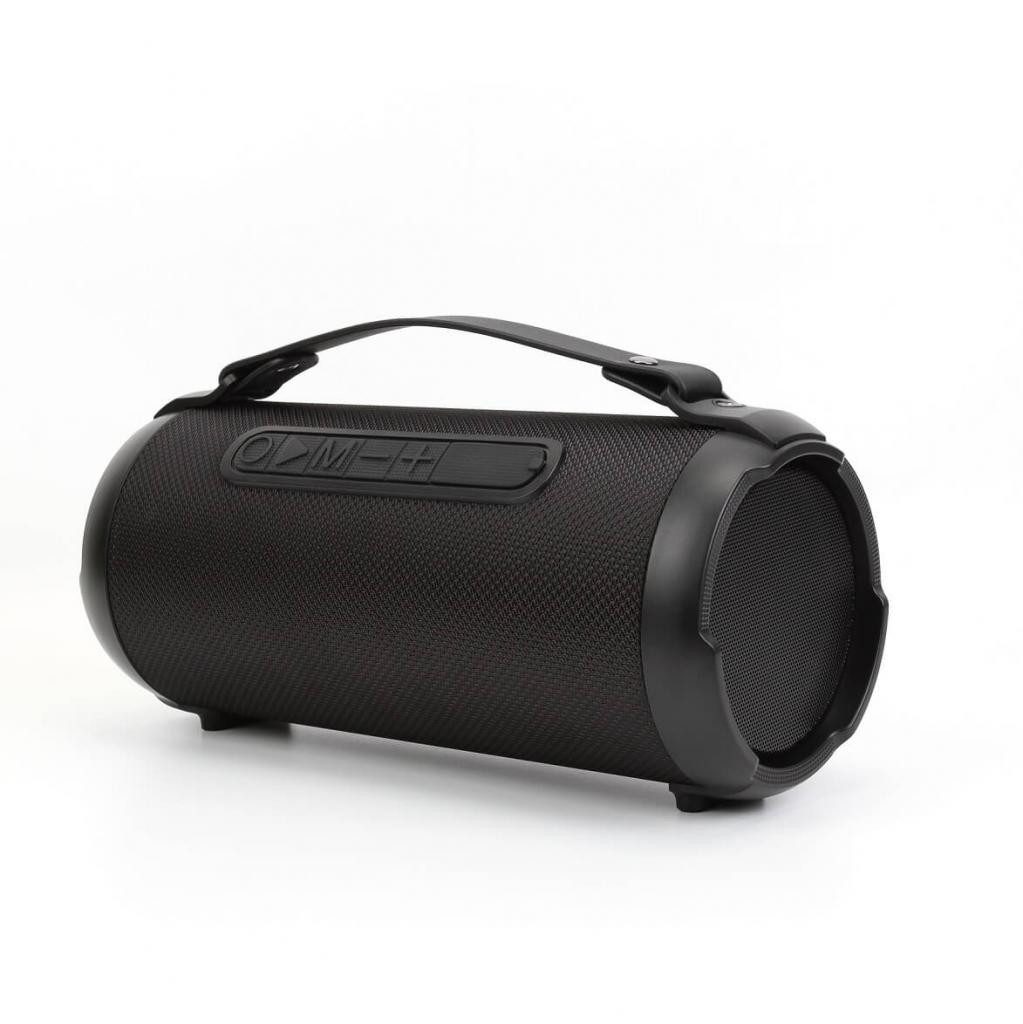 Denver BTG-408 Mobiler Bluetooth Lautsprecher in schwarz Bluetooth-Lautsprecher (Bluetooth, 9.5 W, TWS-Funktion (kopple 2 Lautprecher, für einen Stereoklang)