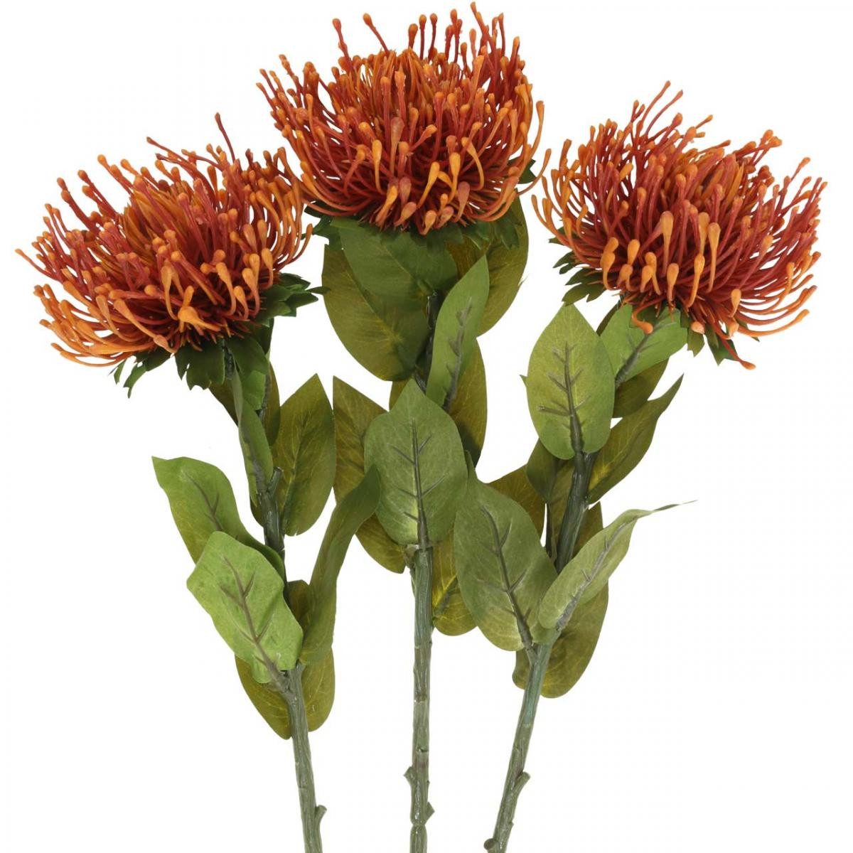 Kunstblume Nadelkissen Kunstblume Orange Leucospermum Protea günstig online kaufen