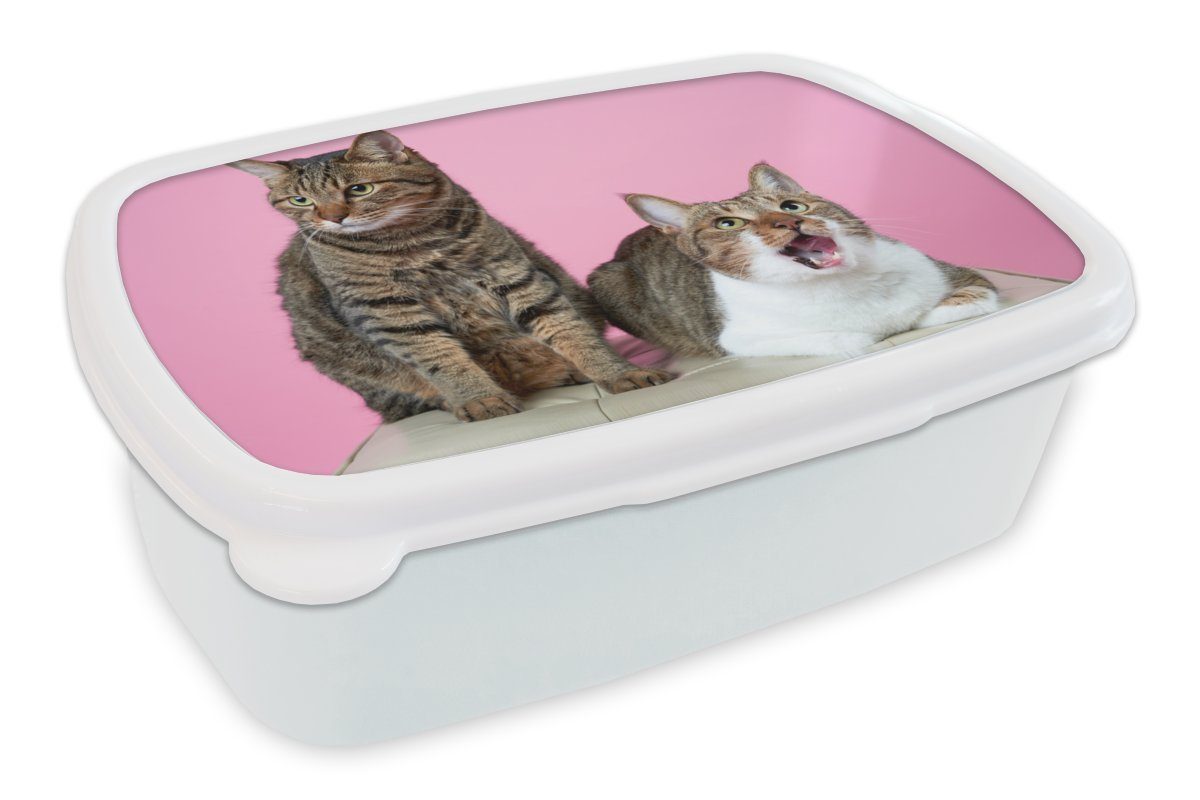 MuchoWow Lunchbox Katze - Rosa - Pouf - Mädchen - Kinder - Kinder, Kunststoff, (2-tlg), Brotbox für Kinder und Erwachsene, Brotdose, für Jungs und Mädchen weiß