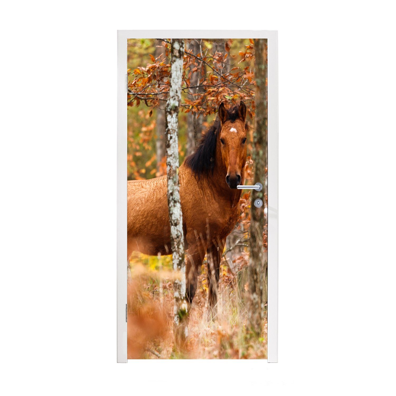Pferd 75x205 Türaufkleber, Tür, Wald Matt, Herbst, MuchoWow - cm bedruckt, St), - Türtapete für (1 Fototapete