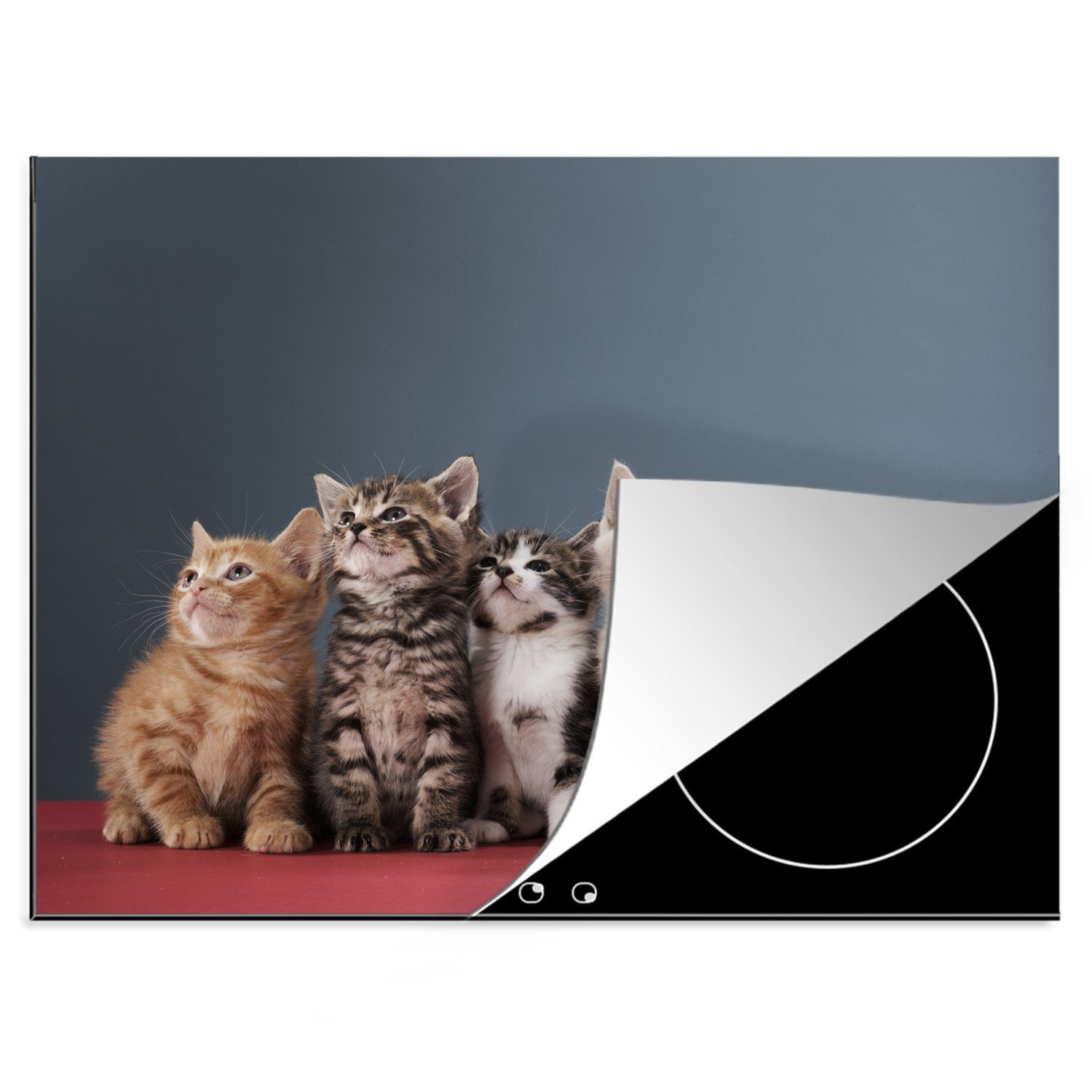 nutzbar, Mobile - - Tiere, (1 tlg), Arbeitsfläche Vinyl, Herdblende-/Abdeckplatte Katze cm, Kätzchen 70x52 MuchoWow Ceranfeldabdeckung