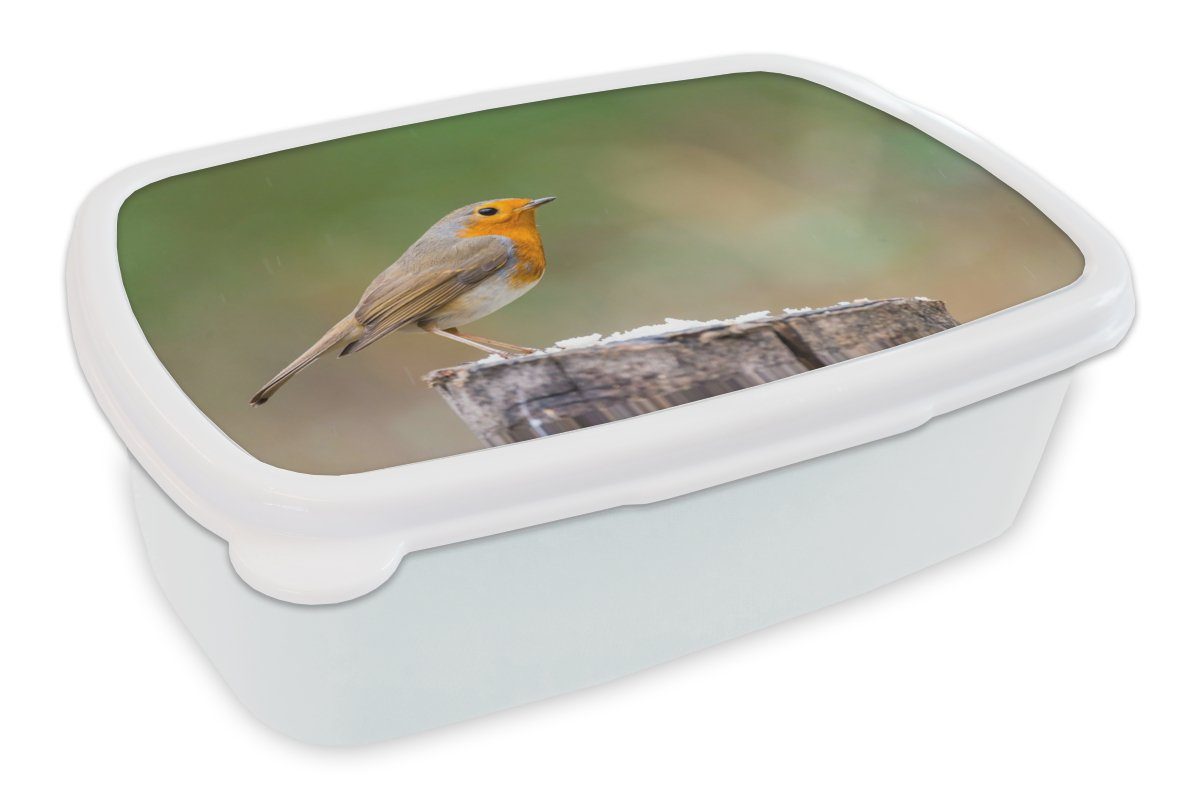 Tiere für Jungs und und Mädchen Lunchbox Erwachsene, - weiß - Brotbox für Vogel Kinder Kunststoff, Rotkehlchen, MuchoWow (2-tlg), Brotdose,