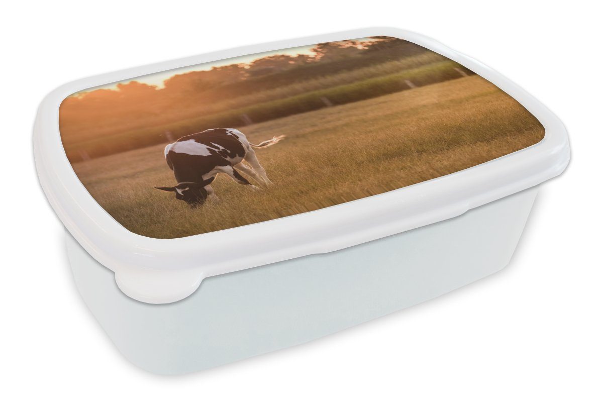 MuchoWow Lunchbox Kuh - Sonne - Tiere, Kunststoff, (2-tlg), Brotbox für Kinder und Erwachsene, Brotdose, für Jungs und Mädchen weiß