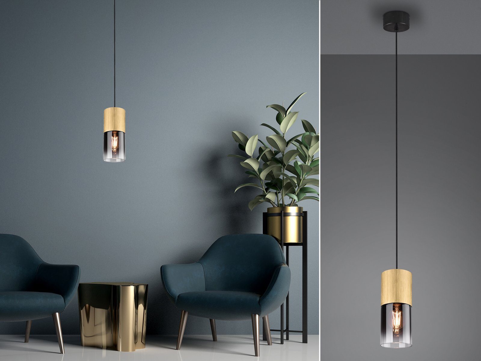 TRIO Leuchten LED Pendelleuchte, Dimmfunktion, LED günstig online kaufen