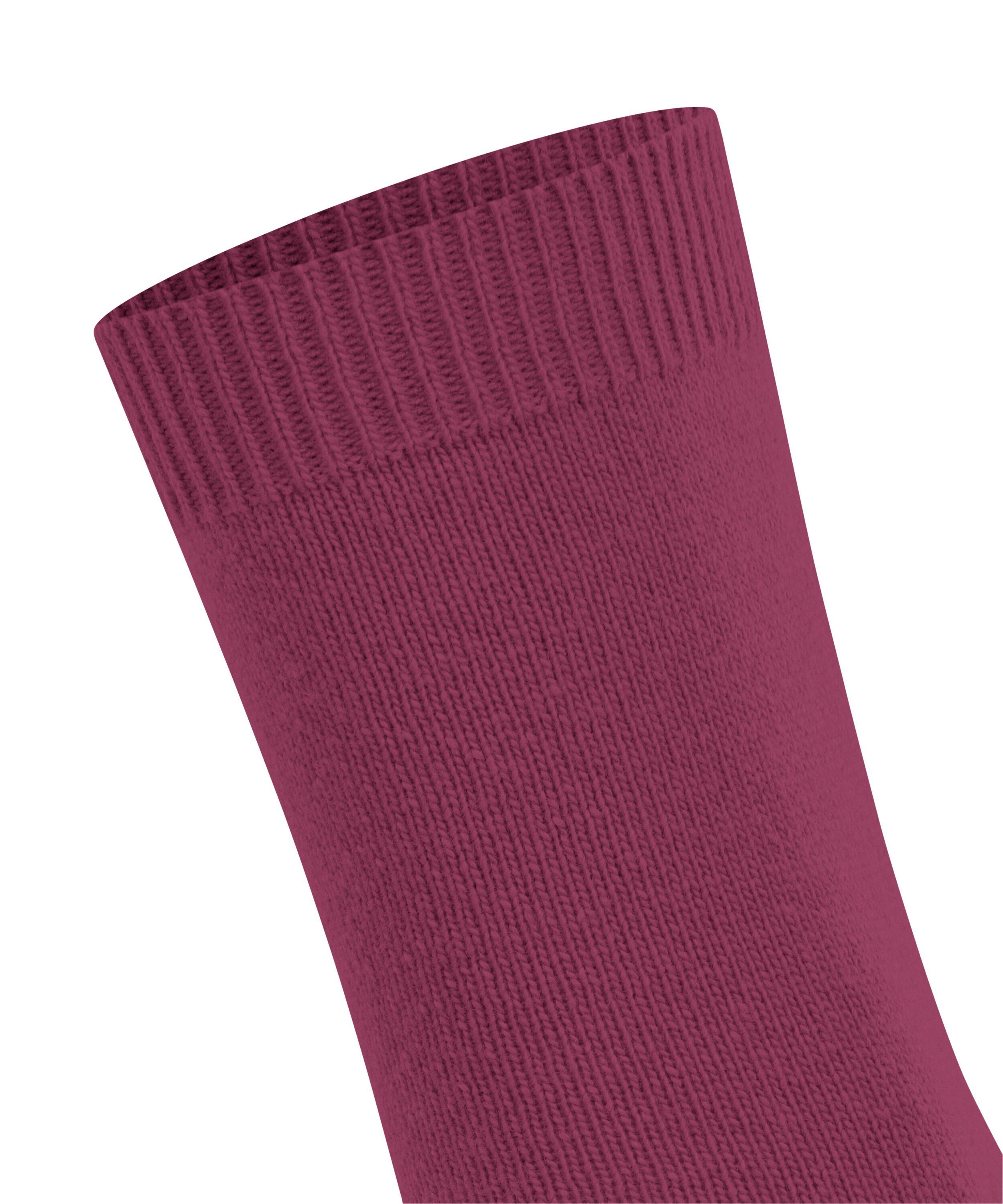 Cosy (8236) FALKE Socken Wool (1-Paar) plum red