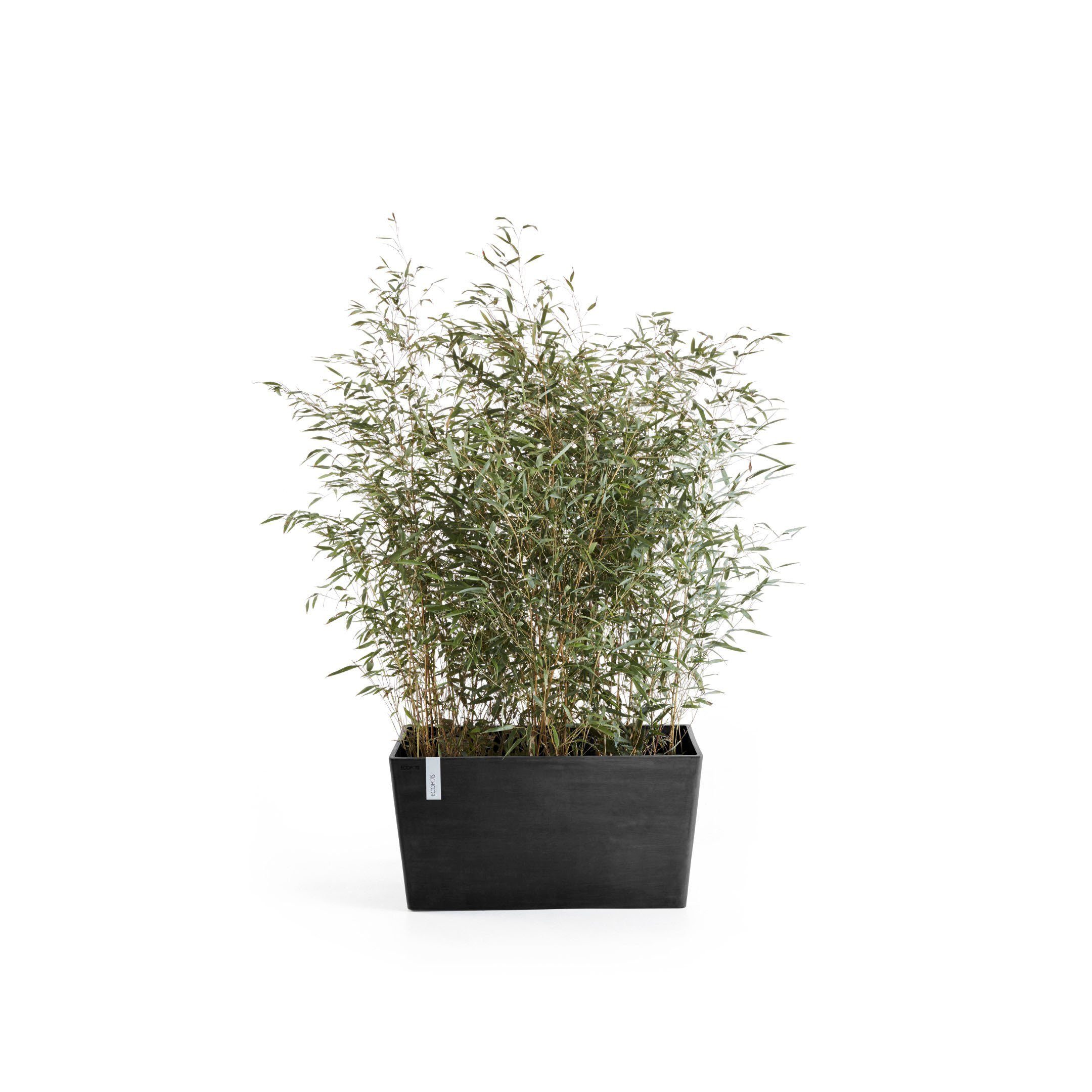 ECOPOTS Blumentopf Paris, BxTxH: 80x38x42 cm