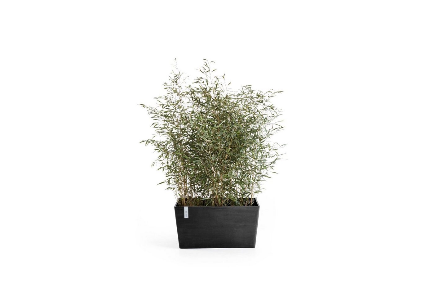 Thumbnail - ECOPOTS Blumentopf Paris, BxTxH: 80x38x42 cm