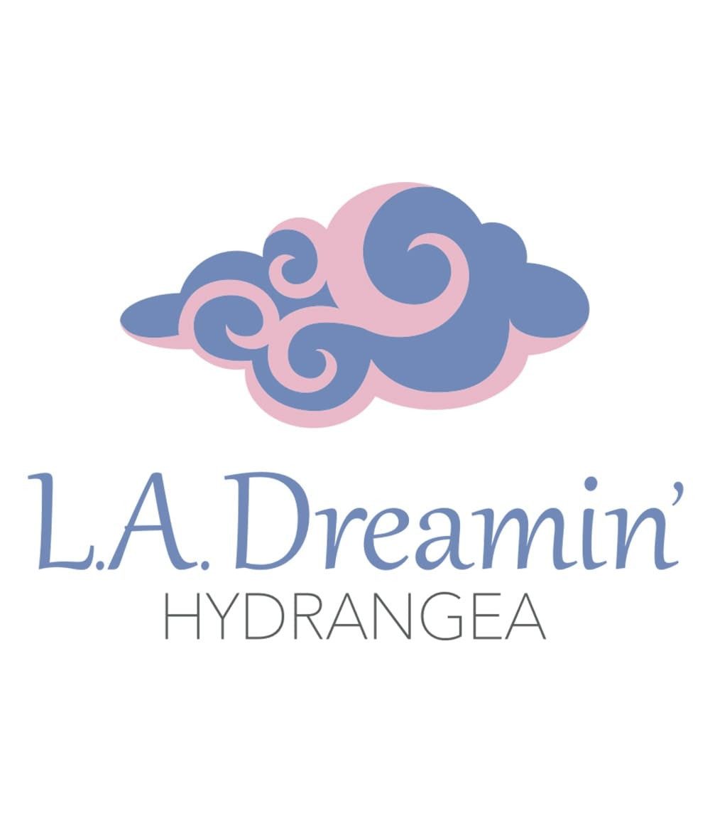 BALDUR Garten Zierstrauch Freiland-Hortensie 'L.A. Dreamin®', 1 St., Schneeball, winterhart, mehrjährig, pflegeleicht, kübelgeeignet