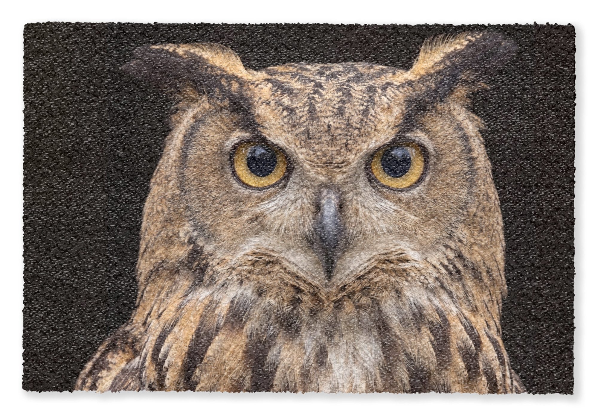 MuchoWow Fußmatte Eule - Porträt - Braun, Rechteckig, innen Schmutzfangmatte, Tür, Schmutzfänger Flur, Teppich 60x40 cm