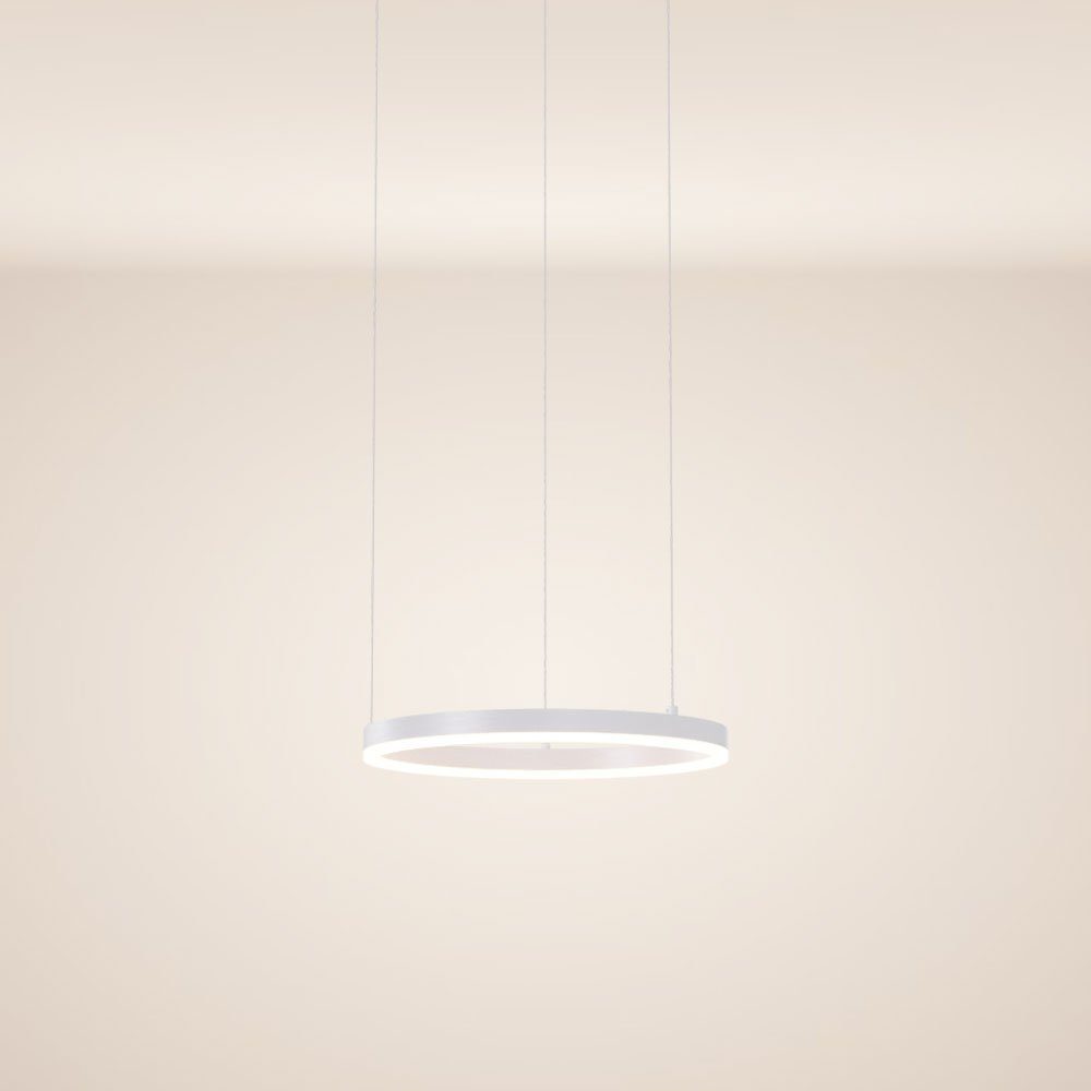 s.luce Pendelleuchte LED Pendelleuchte Ring 40 direkt oder indirekt 5m Abhä günstig online kaufen