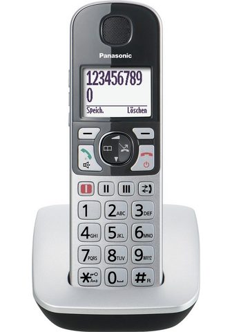 Panasonic KX-TGE510 Seniorentelefon (Mobilteile:...