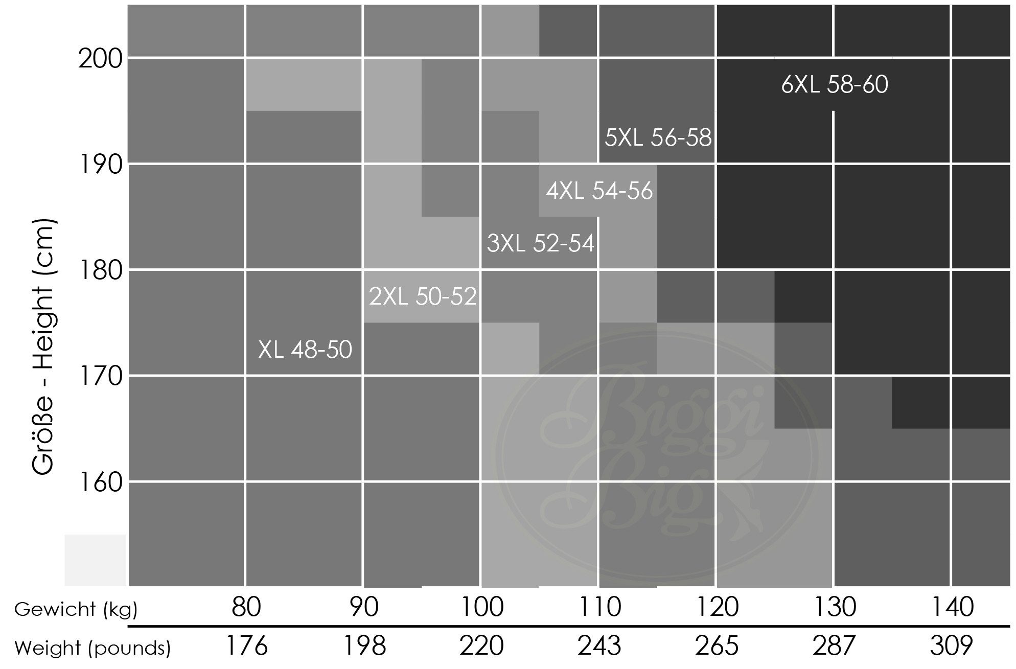 Biggi Big Feinstrumpfhose B120 schwarz