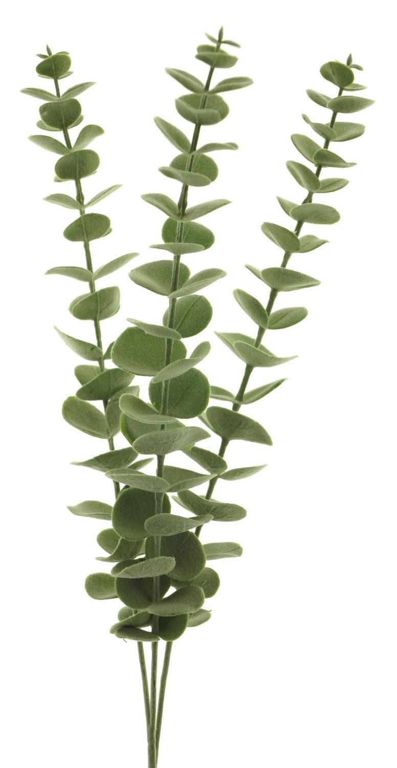 Kunstzweig Künstlicher Zweig Eukalyptus Xuan, grün, 60 cm Eukalyptus, artplants, Höhe 60.0 cm