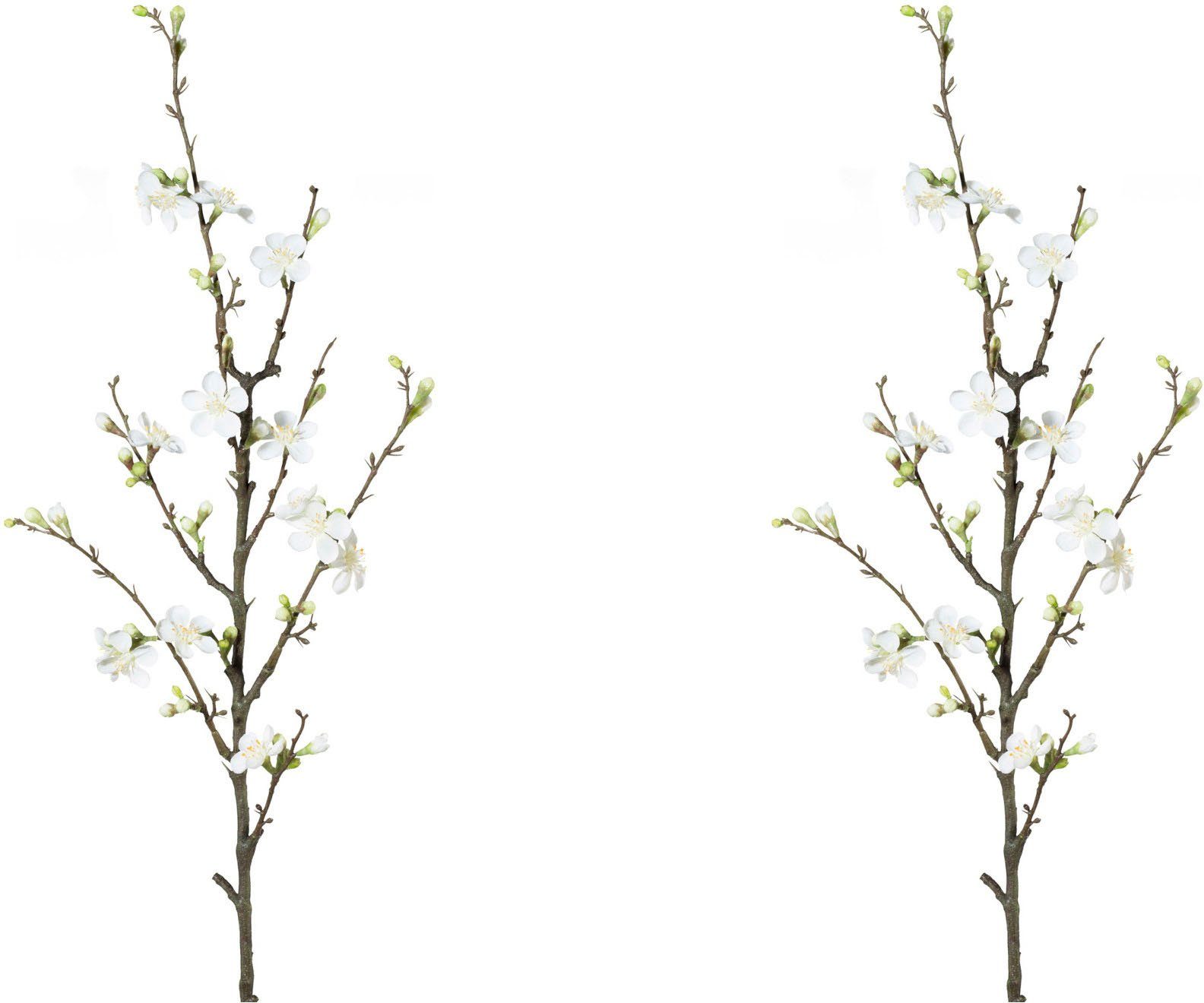 Detailansicht des Produkts 0