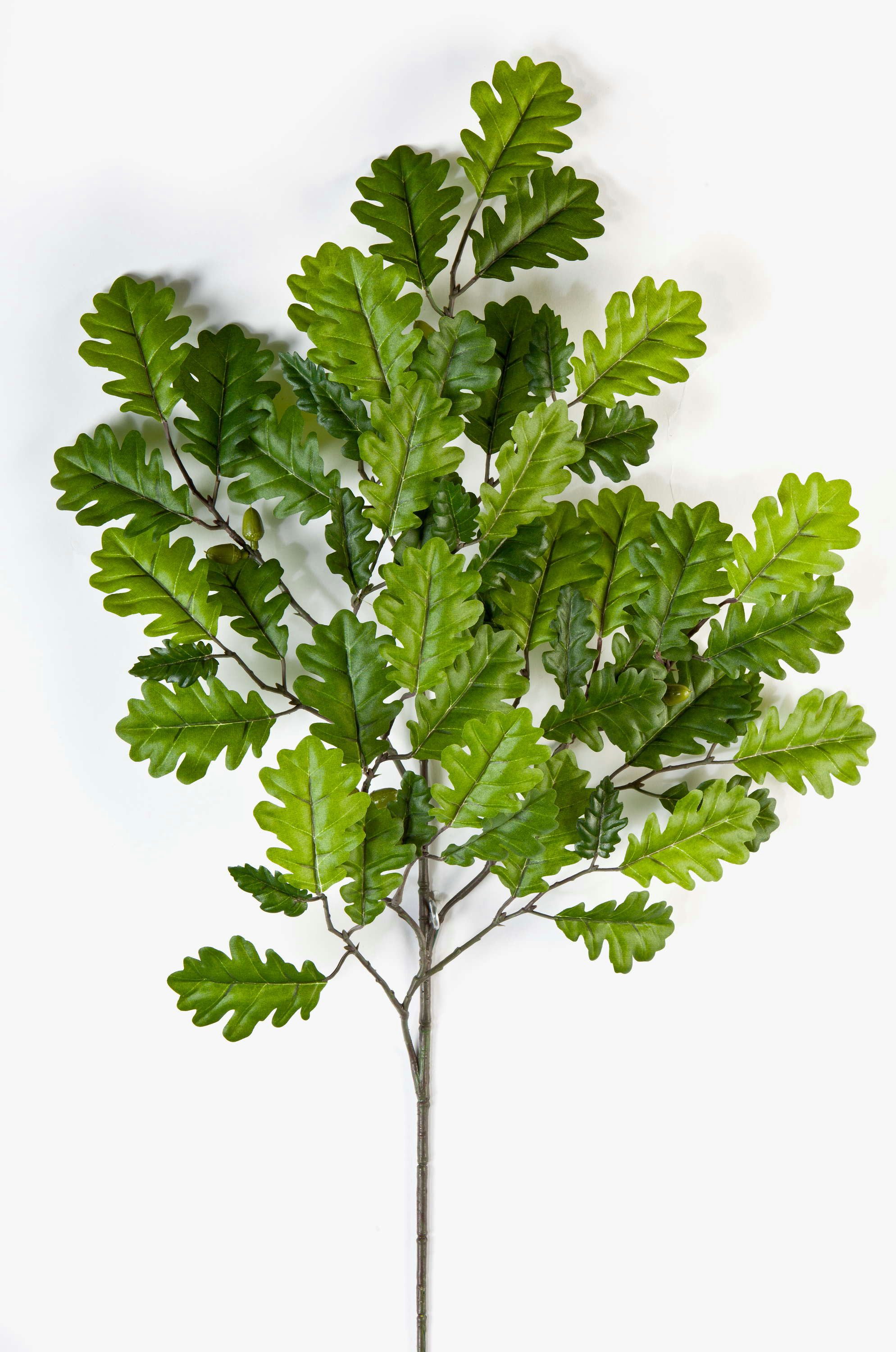 Kunstzweig Künstlicher Eichenblattzweig, 8 Eicheln, 55 Blätter, grün, 60cm Eiche, artplants, Höhe 60.0 cm