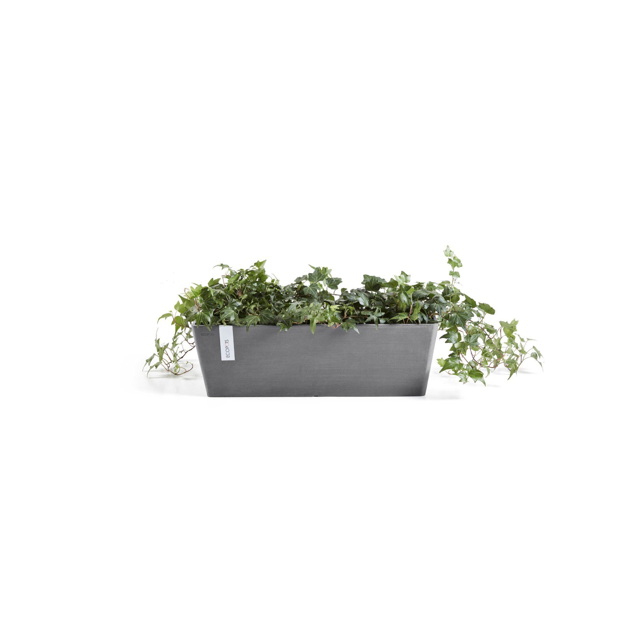 Wasserbehälter, 17x55x17 Bruges, mit Blumentopf ECOPOTS cm BxTxH: