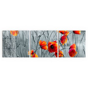 DEQORI Glasbild 'Rote Mohnblumen', 'Rote Mohnblumen', Glas Wandbild Bild schwebend modern