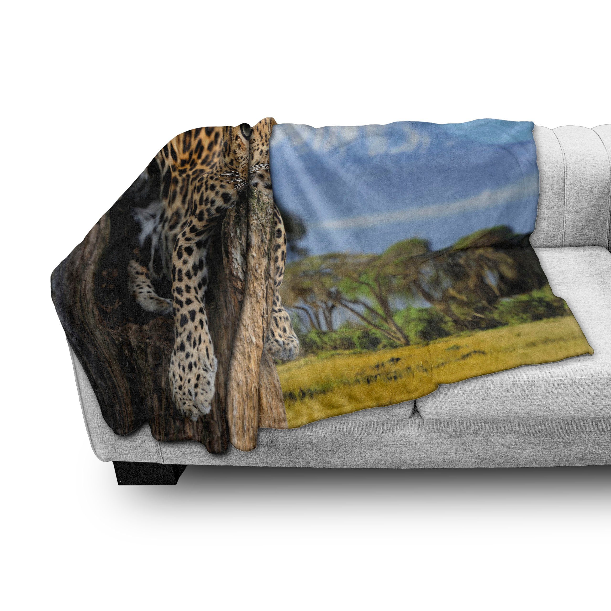 Plüsch Gemütlicher Leopard Wohndecke einem Baum auf den Abakuhaus, Tierwelt Innen- Außenbereich, für und