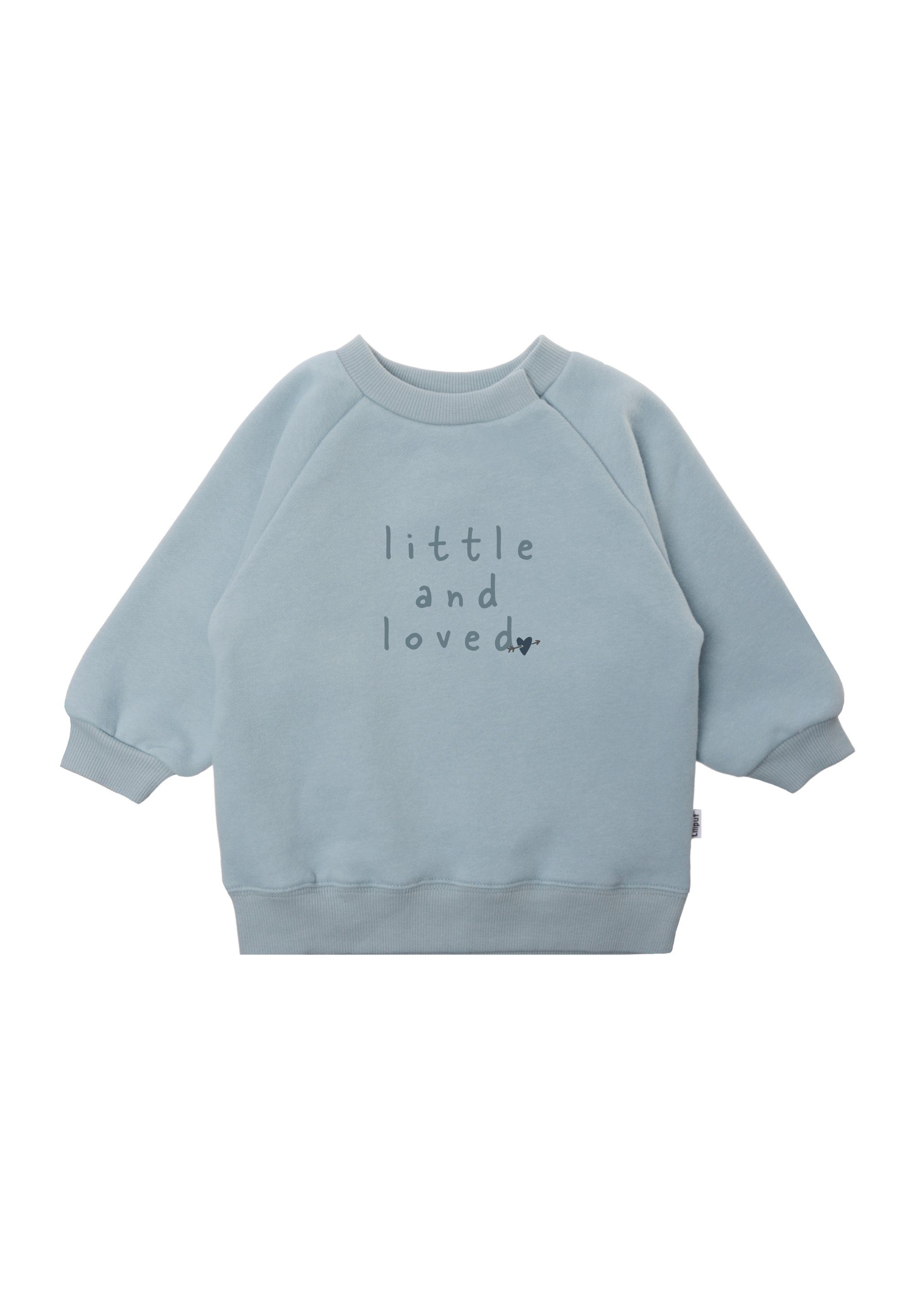 Sweatshirt little and loved