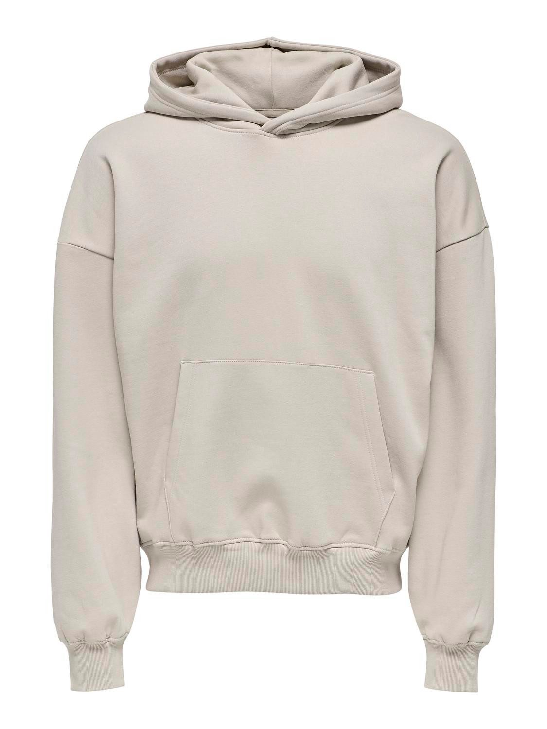ONLY & SONS Kapuzensweatshirt ONSTURNER LIFE günstig online kaufen