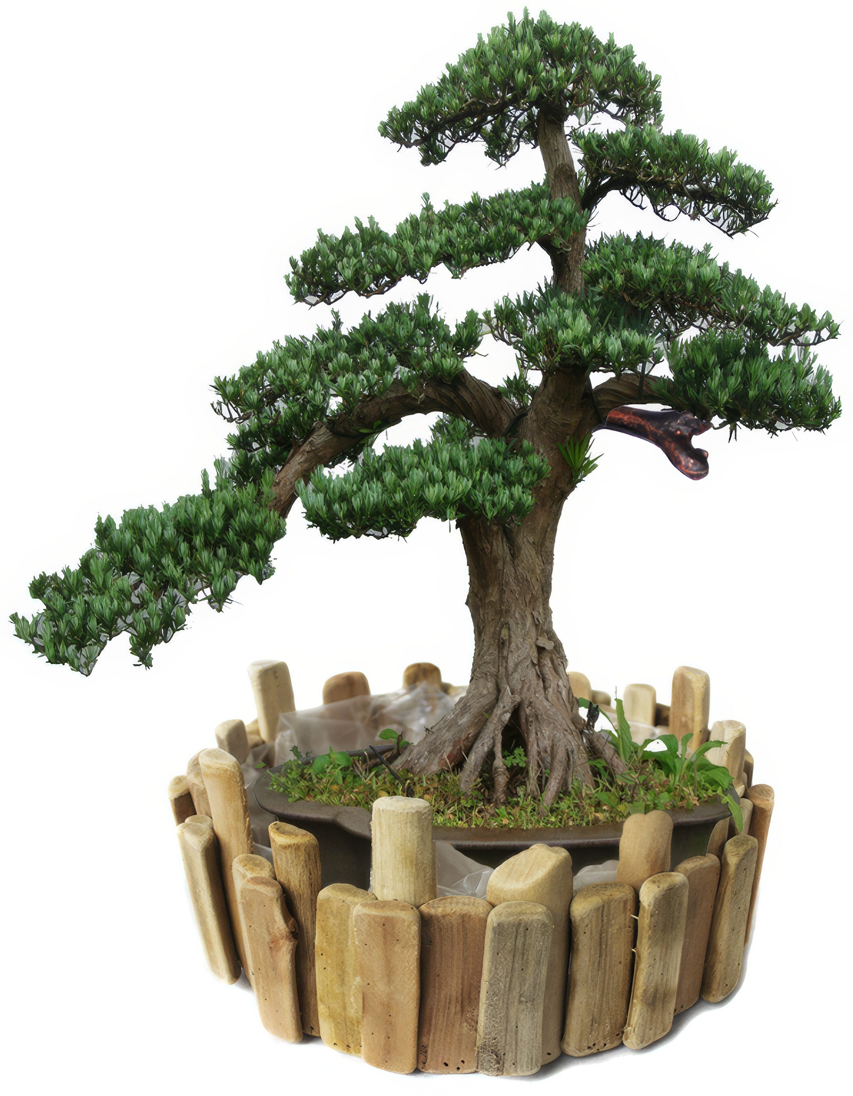 Yudu Übertopf Pflanzgefäß Pflanztopf Blumentopf Holz Handgearbeitet