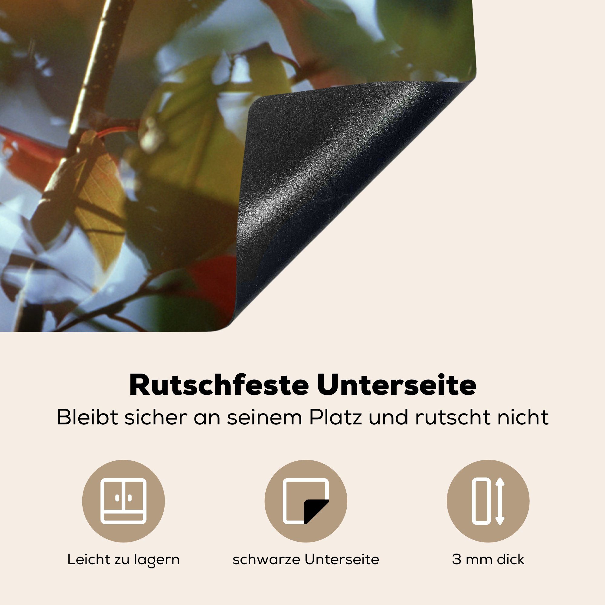 Schutz Herbst, Induktionskochfeld tlg), küche, Vinyl, im Vogelkirsche cm, (1 die MuchoWow für Ceranfeldabdeckung 81x52 Herdblende-/Abdeckplatte