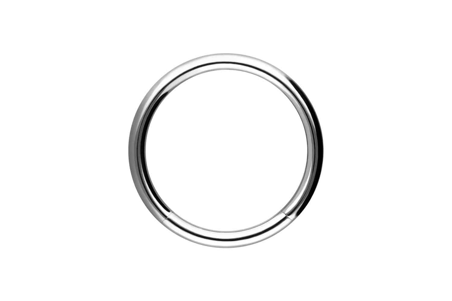 PIERCINGLINE Nasenpiercing Chirurgenstahl Segmentring (Klemm-Ringe, 1-tlg) günstig online kaufen