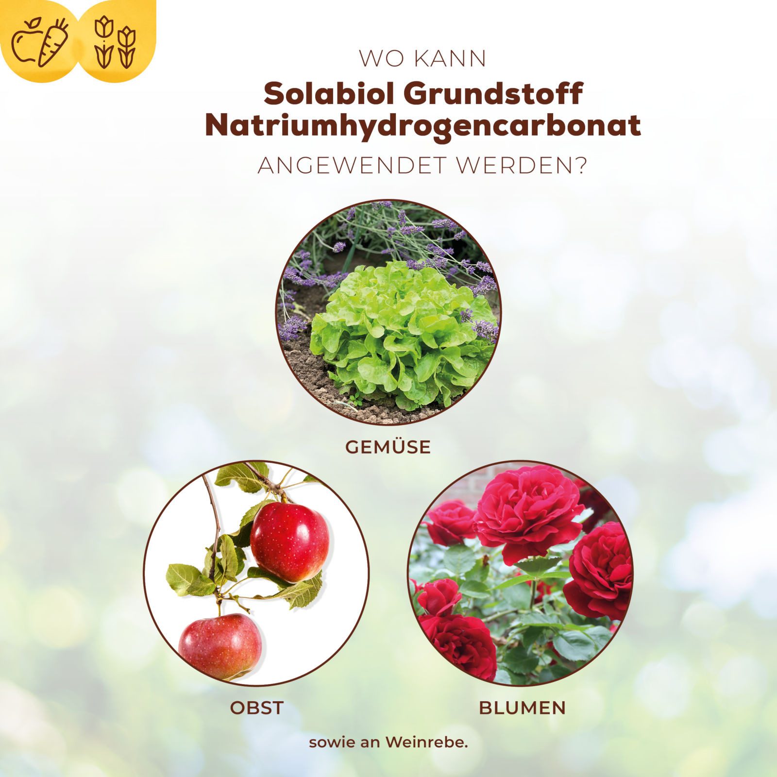 Solabiol Pflanzenstärkungsmittel Grundstoff Natriumhydrogencarbonat 350 g