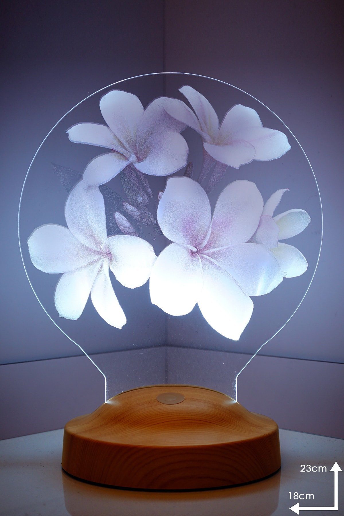 Geschenkelampe LED Nachttischlampe Plumeria Blumen 3D mehrfarbige Nachttischlampe Muttertag, Valentinstag, Leuchte 7 Farben fest integriert, Valentinstagsgeschenk für Freundin, Kollegin, Ehefrau, Partnerin