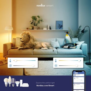 Nordlux LED-Leuchtmittel Smartlight, E27, 3 St., Farbwechsler, Smart Home Steuerbar, Lichtstärke, Lichtfarbe, mit Wifi oder Bluetooth