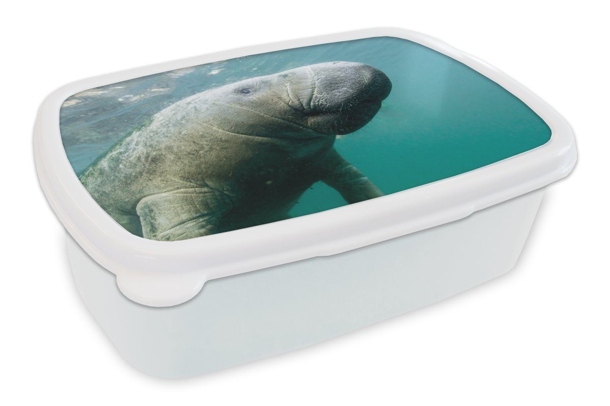 MuchoWow Lunchbox Tiere - Wasser - Kamera, Kunststoff, (2-tlg), Brotbox für Kinder und Erwachsene, Brotdose, für Jungs und Mädchen weiß