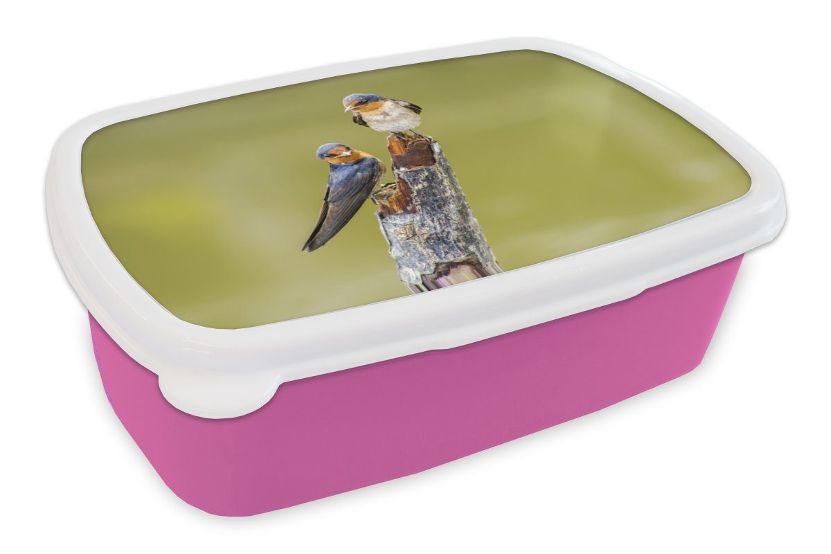 - Vögel Porträt, (2-tlg), Kunststoff, Snackbox, Kinder, Brotdose Erwachsene, Lunchbox rosa für MuchoWow Zweig Kunststoff Brotbox Mädchen, -