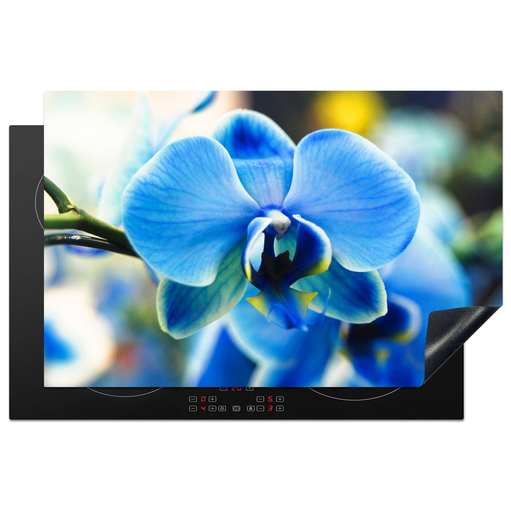 MuchoWow Herdblende-/Abdeckplatte Nahaufnahme einer blauen Orchidee mit verblasstem Hintergrund, Vinyl, (1 tlg), 81x52 cm, Induktionskochfeld Schutz für die küche, Ceranfeldabdeckung