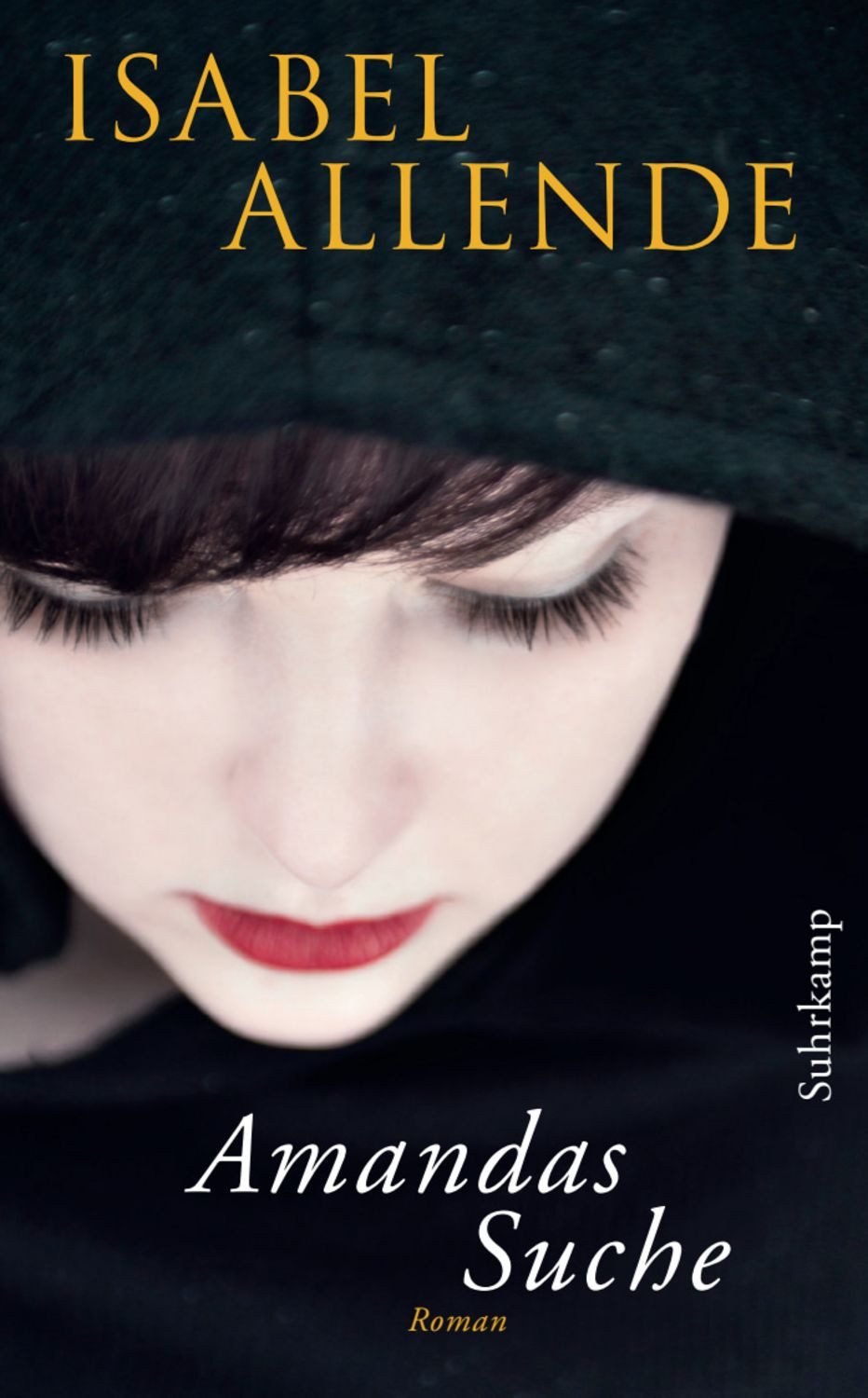 Amandas Suche / Isabel Allende