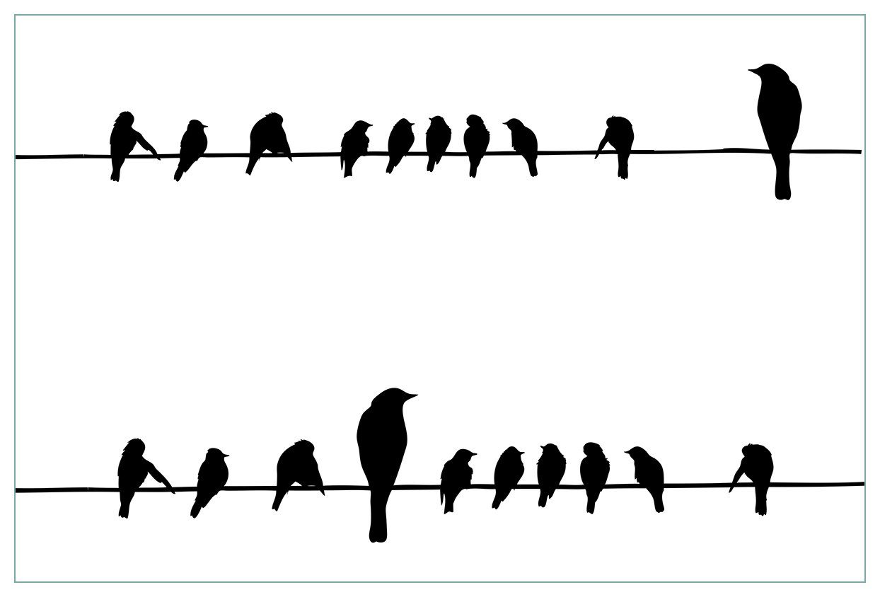 Wallario Küchenrückwand Vögel auf einer Stromleitung, (1-tlg)