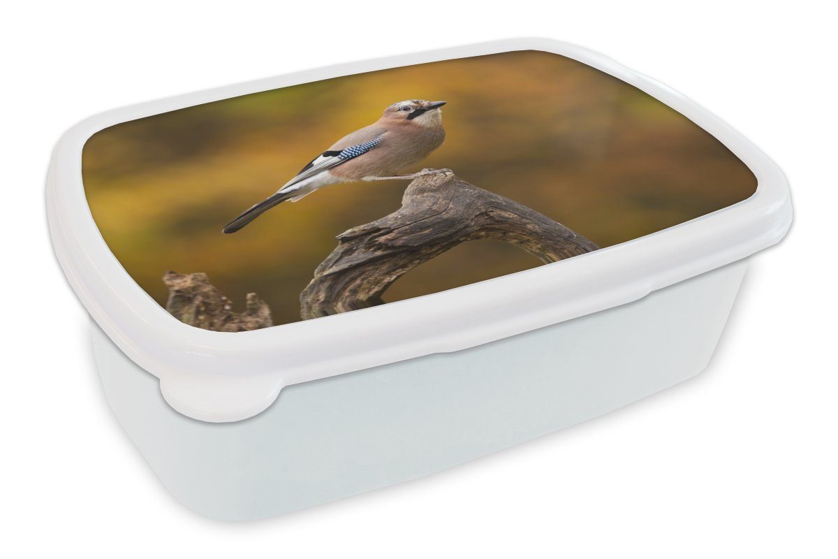 MuchoWow Lunchbox Vogel - Zweig - Eichelhäher, Kunststoff, (2-tlg), Brotbox für Kinder und Erwachsene, Brotdose, für Jungs und Mädchen weiß