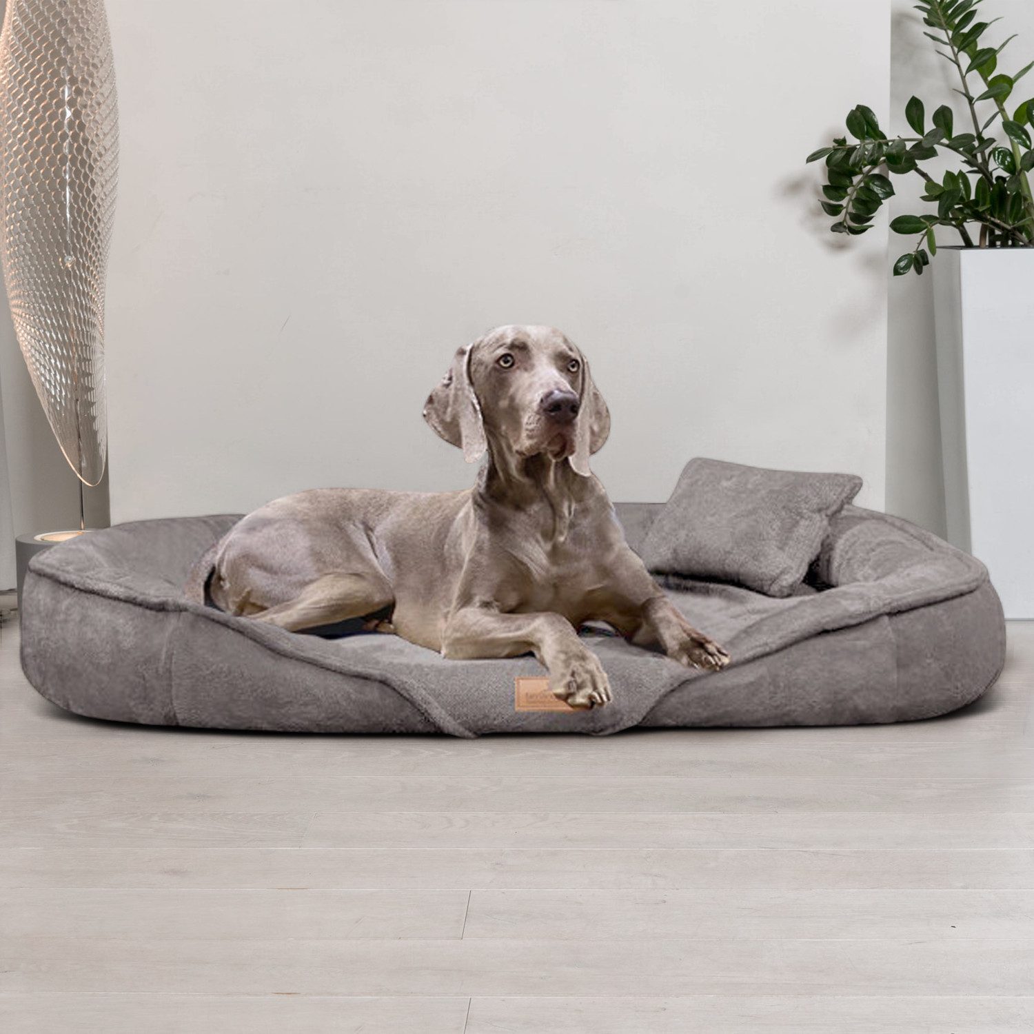 Thumbnail - tierlando® Tierbett Orthopädisches Hundebett XENIA, Kuschelig flauschiges Hundesofa